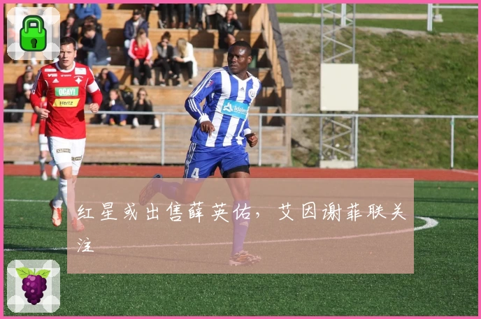 红星或出售薛英佑，艾因谢菲联关注