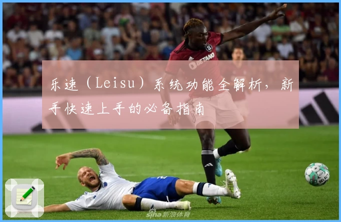 乐速（Leisu）系统功能全解析，新手快速上手的必备指南