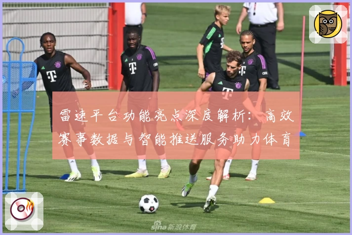 雷速平台功能亮点深度解析：高效赛事数据与智能推送服务助力体育迷