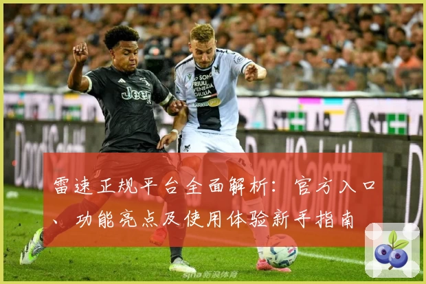 雷速正规平台全面解析：官方入口、功能亮点及使用体验新手指南